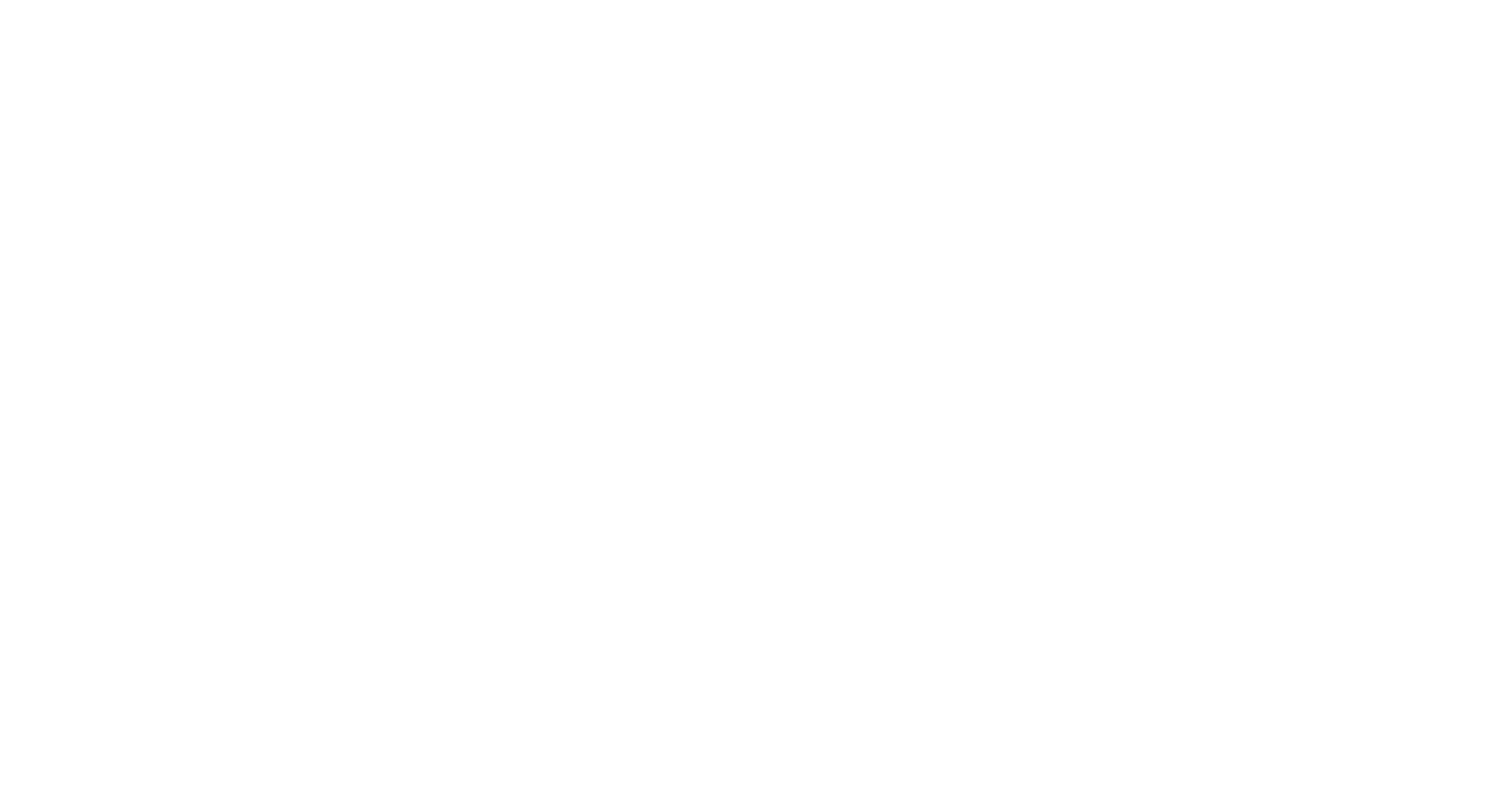 Our CA Saab white logo