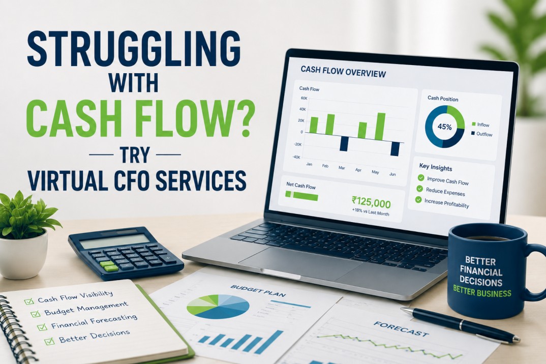Virtual CFO Services in Delhi